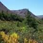 <p align=left>Tablelands
